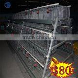 Commercial Chicken House Sale for Layers thumbnail-1