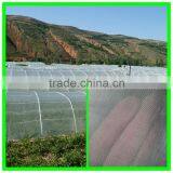 Suntex Large Size Agricultural Greenhouses Type Anti Insect Netting Plastic Bird Mesh thumbnail-4