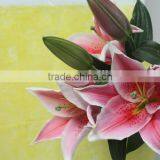 Factory Direct Sell Cheap Lili Flower Head Lili Collect thumbnail-2