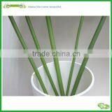 Artificial Single Lotus Leaf in Lifelike Appearence thumbnail-4