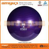 China Supplier of Anti-burst Yoga Gym Ball thumbnail-1