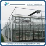 Horticultural Glass Greenhouse