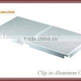 Clip in Ceiling