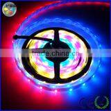 12v Rgb Illume Led Strip Lighting
