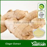 Ginger root powder dried ginger powder