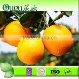 2014 Wholesale Navel Orange Fruit Price thumbnail-1