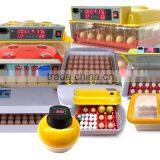 Newest Hot Sale Automatic Mini Egg Incubator/24 Egg Incubator/mini Incubator thumbnail-2