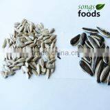 Food Seeking Business Partners, Confectionary Sunflower Seeds