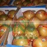 Chinese Fresh Pomelo thumbnail-1