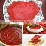 Canned Tomato Paste With Good Quality Fresh Tomato Paste Production Line thumbnail-2