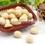Raw Macadamia nuts with shell and Without shell.
