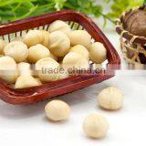 Raw Macadamia nuts with shell and Without shell.