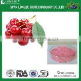 Factory supply with vaccum,drum packed Acerola Cherry Fruit Powder acerola fruit powder with Vitamin C 25%