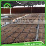 High Qualified Seeded Benching System in Greenhouse thumbnail-2