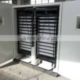 Black Chick Incubator WQ-8448