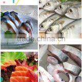 Neweek Professional Popular Automatic Fresh Meat Fish Fillet Machine thumbnail-5