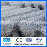 Galvanized / pvc coated chicken wire (manufacturer)