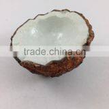 COCONUT FRUIT MAGNET RESIN 3D FRIDGE MAGNET SOUVENIR thumbnail-4
