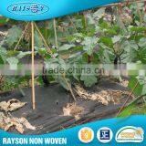 Non-Woven Uv Protected Plain Tnt Non Woven Fabric thumbnail-2