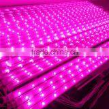 20W 4ft Led Grow Light Tube T8 in Versatile Color Ratio thumbnail-1