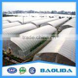 Agriculture Tunnel Plastic Tomato Commercial Greenhouse thumbnail-4