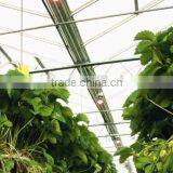 Greenhouse Kit thumbnail-5