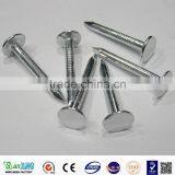 Sanxing Common Nail One of Biggest Manufacturer in Anping thumbnail-2