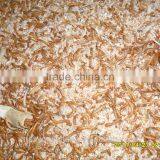 Yongzheng Dried Mealworms ;Good Quality Dried Mealworms ;Dried Mealworms for Fish Food thumbnail-3