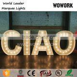 LED Customized Light up Letters Wedding Backdrop Lighting thumbnail-4