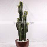 Artificial Saguaro Cactus , Artificial Cactus Plants , Plastic Cactus thumbnail-2