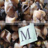 Fresh Raw Live Conch thumbnail-1