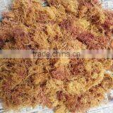 Eucheuma Spinosum With Good Price thumbnail-2