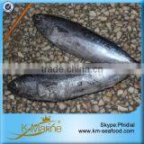 China Supplier Big Quantity Frozen Bonito Fish Whole Round thumbnail-1