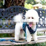 Jacquard Nylon Webbing for Dog Collars and Leashes