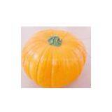 pu Pumpkin, pu Sponge, pu Product, pu Foam thumbnail-1