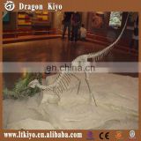 2016 life size fiberglass dinosaur skeleton replica for shopping mall