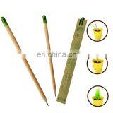 new wood flower fruit grass sprout growing pencil with seeds