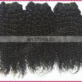 Private Label Products Kinky Curly Hair Weaving