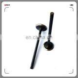 Oem 4A13-1007011 4A13-1007017 Engine Valve for 4A15 thumbnail-2