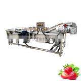 China Made Commercial Fruit Vegetable Washer Lettuce Spinach Washer Cleaner Machine for Sale thumbnail-4