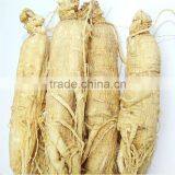 White Ginseng Natural Dried White Ginseng Root With Tail for Tonic