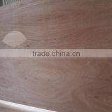 Plywood Sheet thumbnail-3