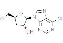 Cordycepin 98% HPLC thumbnail-1
