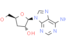 Cordycepin 98% HPLC