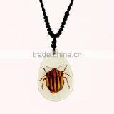 New Fashion Lovely Necklace With Real Insect thumbnail-4
