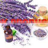 Lavandin Essential Oil