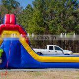 Multi Colored Wet n Dry Used Large Water Slide for Children and Adults Supplier's Choice thumbnail-3