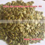 Shine Skin Pumkin Seed Kernels thumbnail-4