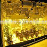Premium Grow Tent Indoor Garden Darkroom Hydroponic Plant thumbnail-4