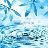 production line water filter local